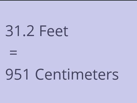 31.2 FEET TO CM