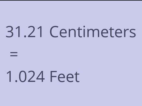 31.21 CM TO FEET