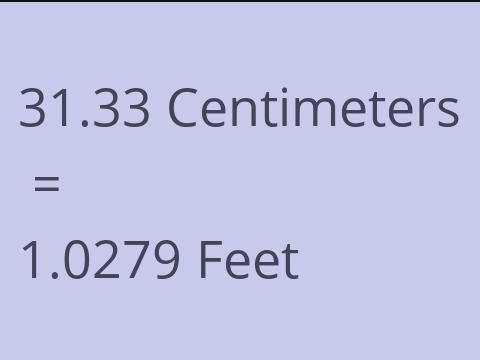 31.33 CM TO FEET