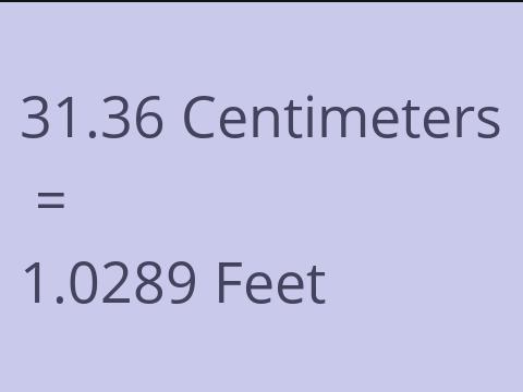 31.36 CM TO FEET