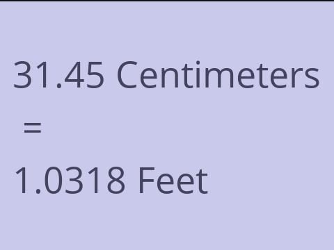 31.45 CM TO FEET