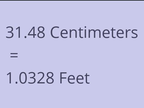 31.48 CM TO FEET