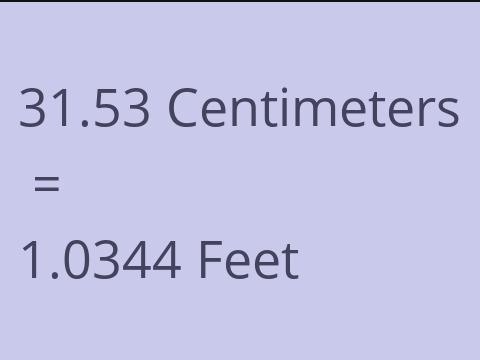 31.53 CM TO FEET