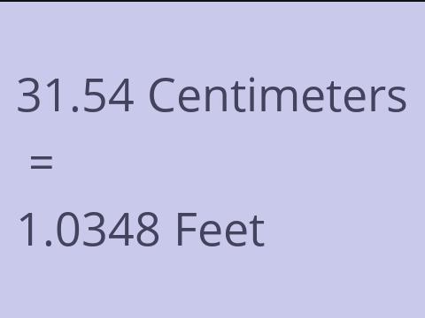 31.54 CM TO FEET