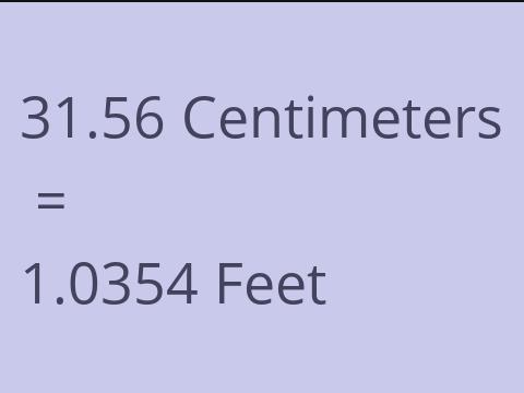 31.56 CM TO FEET