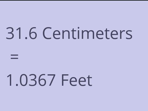 31.6 CM TO FEET