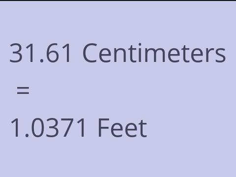 31.61 CM TO FEET