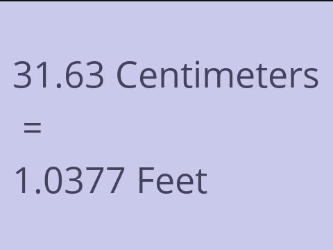 31.63 CM TO FEET