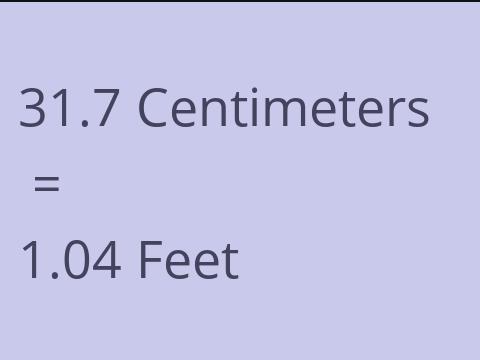 31.7 CM TO FEET