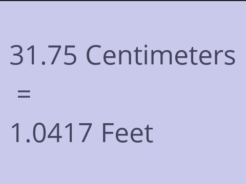 31.75 CM TO FEET