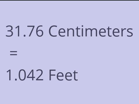 31.76 CM TO FEET