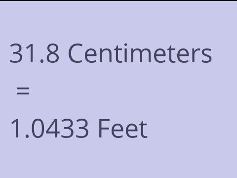 31.8 CM TO FEET