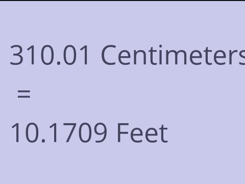 310.01 CM TO FEET