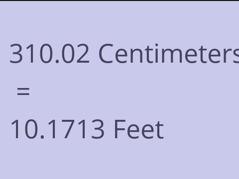 310.02 CM TO FEET