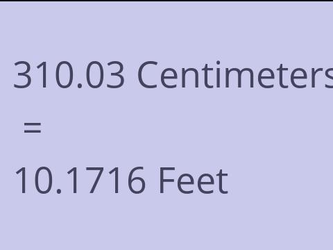 310.03 CM TO FEET