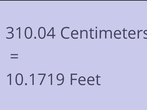 310.04 CM TO FEET