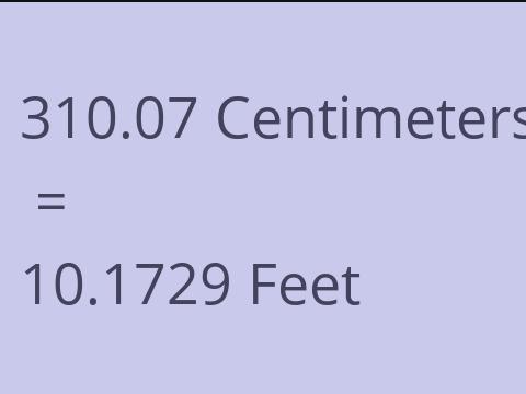 310.07 CM TO FEET