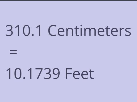 310.1 CM TO FEET