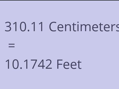 310.11 CM TO FEET