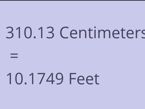 310.13 CM TO FEET