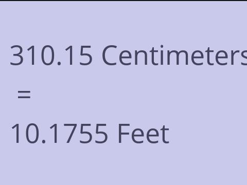 310.15 CM TO FEET