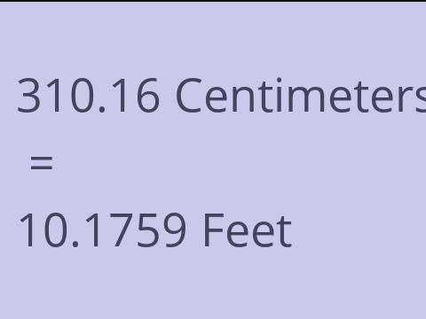 310.16 CM TO FEET