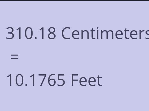 310.18 CM TO FEET