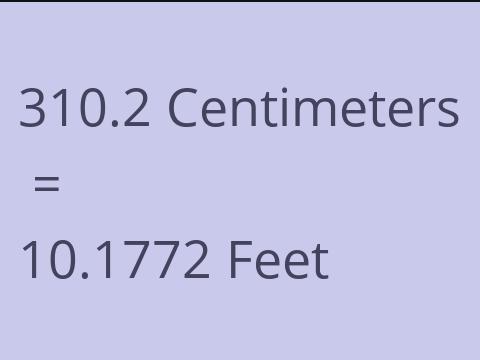 310.2 CM TO FEET