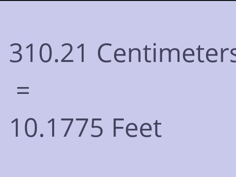 310.21 CM TO FEET