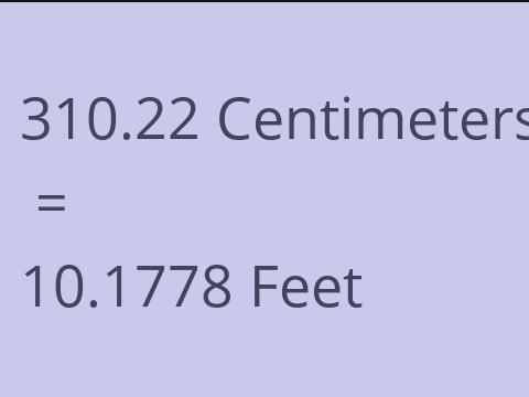 310.22 CM TO FEET