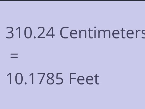 310.24 CM TO FEET