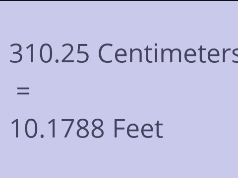 310.25 CM TO FEET