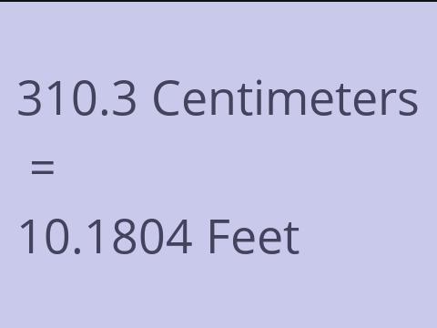 310.3 CM TO FEET