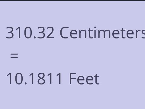 310.32 CM TO FEET