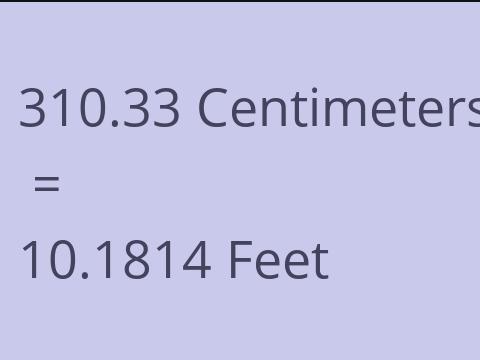 310.33 CM TO FEET