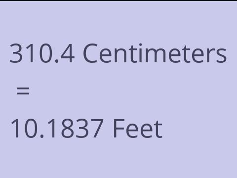 310.4 CM TO FEET