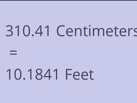 310.41 CM TO FEET