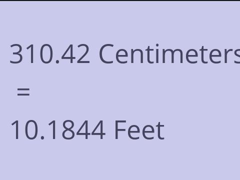 310.42 CM TO FEET