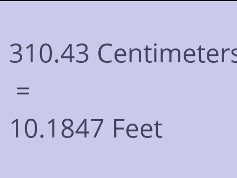 310.43 CM TO FEET