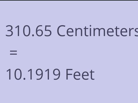 310.65 CM TO FEET