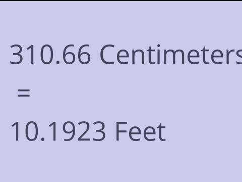 310.66 CM TO FEET