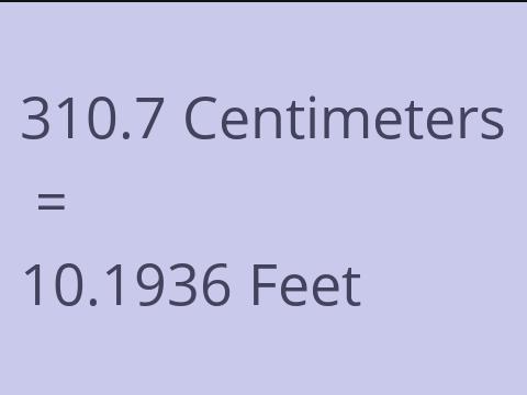 310.7 CM TO FEET