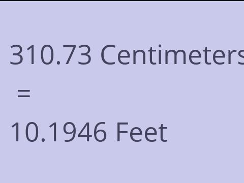 310.73 CM TO FEET