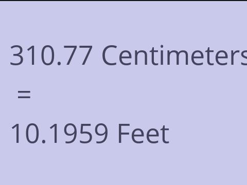 310.77 CM TO FEET