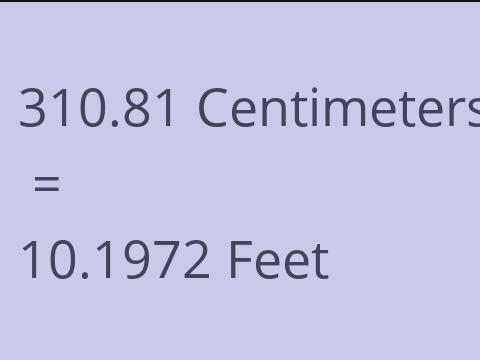 310.81 CM TO FEET