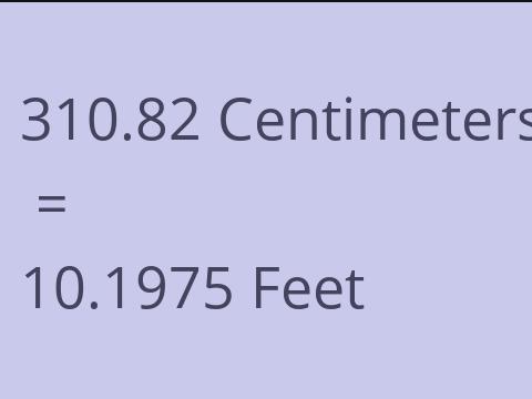 310.82 CM TO FEET