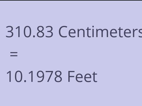 310.83 CM TO FEET