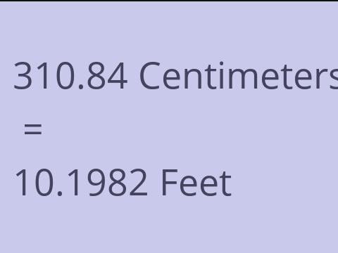 310.84 CM TO FEET