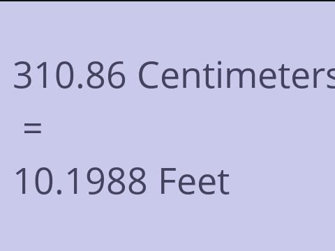 310.86 CM TO FEET