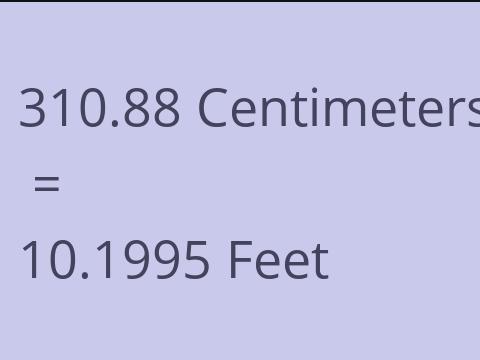 310.88 CM TO FEET